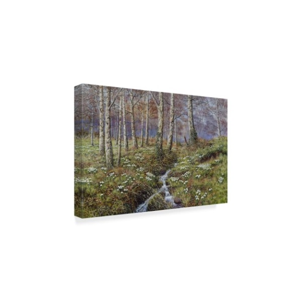 Bill Makinson 'Snowdrop Dell' Canvas Art,22x32